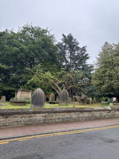 This image depicts a tranquil graveyard or churchyard in Knutsford, United Kingdom, situated alongside a public road under an overcast sky. The scene is observed during the daytime, characterized by soft, diffused light.
In the foreground and midground, on what would be the left side if the image were upright, numerous old, weathered gravestones and tombs are visible. These monuments are scattered across grassy ground and partially covered by moss, indicating their age. A dominant feature in the mid-left is a large, mature tree with a thick, gnarled trunk and extensive, sprawling branches adorned with dense green foliage. Other large trees, including both coniferous and deciduous types, form a lush green backdrop, creating a sense of seclusion within the graveyard.
A low stone wall, constructed from rough, grey blocks and showing some moss growth, separates the graveyard from the adjacent road. Immediately next to this wall is a narrow pavement strip made of concrete blocks. On the right side of the image, an asphalt road runs parallel to the graveyard. The road is clearly marked with two parallel yellow lines, indicative of parking restrictions commonly found in the UK.
There are no people present, and no activities are taking place, contributing to the serene and somewhat solemn atmosphere of the scene. No discernible text is legible on any of the gravestones or other features.