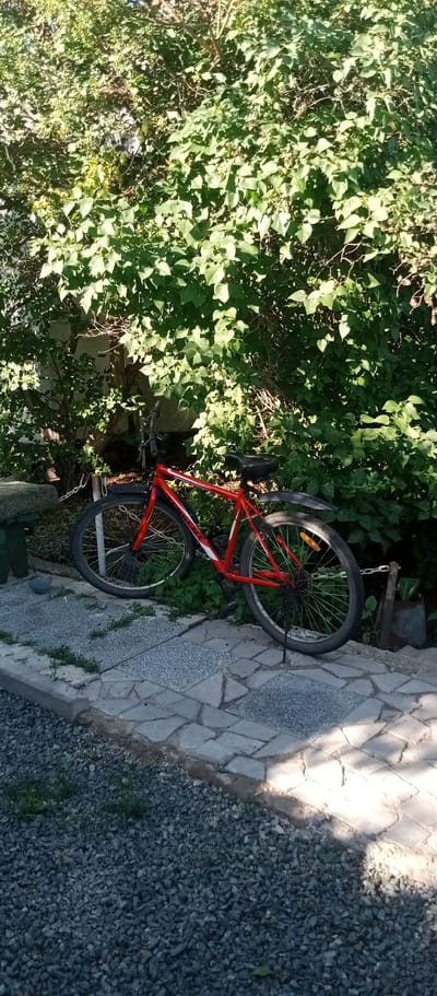 A red bicycle is parked next to a stone pathway, partially surrounded by lush green foliage. The bicycle has a black seat and handlebars, and is leaning on its kickstand. The pathway is made of irregularly shaped gray stones, with patches of grass growing between them. In the background, dense green bushes and trees create a natural backdrop. To the left of the pathway, a stone bench is visible. A metal chain is attached to the bicycle's frame and runs to a metal post. The scene appears to be outdoors, possibly in a garden or yard, with sunlight casting shadows on the ground. The location of Мариновка, Kazakhstan is not depicted in this image.