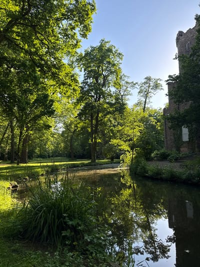 The image captures a serene view of a canal or waterway reflecting the surrounding environment in Hanau, Germany. Lush greenery, primarily deciduous trees with bright green foliage illuminated by sunlight, lines both sides of the water. Their reflections create a symmetrical, mirrored effect on the water's surface.

At the top of the frame, a stone building with visible architectural details, including what appears to be a window with closed shutters, is partially visible and also mirrored in the water. The presence of ivy suggests an older structure.

The lighting is bright, casting distinct shadows and highlights, implying a sunny day. The overall impression is that of a peaceful, natural setting with a historical or architectural element. The location, being in Hanau, Germany, hints at a possibly historical park or garden.