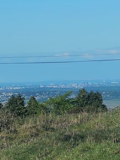 A cityscape is viewed from an elevated position, possibly a hillside. The city, situated in a valley, is comprised of buildings of varying heights. Vegetation, including trees and grass, is present in the foreground, suggesting the viewpoint is on a natural or semi-natural landscape. Overhead power lines are visible in the sky. The sky is clear and blue. It is unclear if this image is from Rhes-y-cae, United Kingdom.