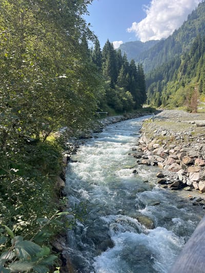The image presents a sunlit river valley scene, likely located in the vicinity of Reitlehen, Austria. A fast-flowing, turbulent river occupies the central and lower portions of the frame, its clear water characterized by numerous white rapids and visible rock formations on its bed. The river flows generally from the distant background towards the immediate foreground, exhibiting a slight curve to the right.

The left bank of the river is densely vegetated with mature deciduous and coniferous trees and various bushes. A narrow, unpaved path or track is discernible along this bank in the mid-ground. Two small, indistinct human figures are visible on this path in the distance, and a white horizontal barrier or gate crosses the path further along. The river's edge on this side is lined with natural rocks and foliage.

The right bank is primarily composed of a constructed riprap of large, angular grey and reddish-brown boulders, ascending from the water's edge to a flatter, lighter-colored gravel area beyond.

In the background, the valley extends into a deep gorge, flanked by steep, heavily forested mountain slopes covered predominantly with dark green coniferous trees. The distant mountains appear hazier. The sky above is largely clear blue with scattered white cumulus clouds, indicating bright daylight conditions with strong illumination on the water and vegetation.