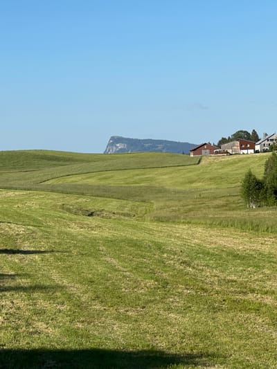 The image depicts a rural landscape under a clear blue sky. Rolling green hills dominate the foreground and midground, with some areas appearing recently mown, showing distinct tractor tracks. A few scattered fences mark the boundaries of the fields. In the background, a cluster of buildings, likely farmhouses or residences, is situated on a rise, surrounded by trees. To the far left, a distinctive flat-topped mountain rises in the distance, a prominent geographical feature. The overall scene is peaceful and idyllic, characteristic of a countryside setting. The location is identified as Le Sentier, Switzerland, which is known for its Jura mountain scenery and rural charm. There are no people visible in the image.