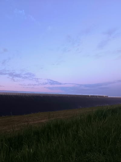 The image shows a long, modern building with a white roof and a row of evenly spaced lights along its length, likely a solar panel array, situated on a slight incline. The building is set against a dusky sky transitioning from pale blue at the top to hues of pink and purple near the horizon. In the foreground, a field of tall, green grass stretches across the lower portion of the image, partially obscuring a darker, lower field. The scene appears to be an agricultural or industrial area in the outskirts of Wervershoof, Netherlands, possibly at twilight. There are no people visible in the image.