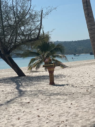 A serene beach scene features a small, ornate spirit house nestled among palm fronds. The house sits atop a decorated pedestal, casting a long shadow on the white sand. A gnarled tree with sparse branches stretches into the frame, contrasting with the tropical foliage. In the background, a calm, clear blue ocean meets a distant, forested shoreline under a bright, cloudless sky. Another palm tree is visible at the top of the frame.