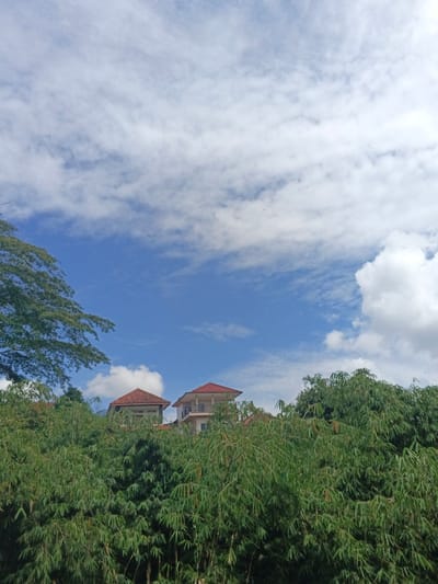A vibrant scene featuring a lush green canopy concealing the lower portions of buildings with red roofs. The dense foliage contrasts with the open sky, displaying a blend of blue and white clouds. A large tree branch extends from the left, adding depth to the composition. The buildings appear partially obscured, creating a sense of mystery and nature's integration with human structures.