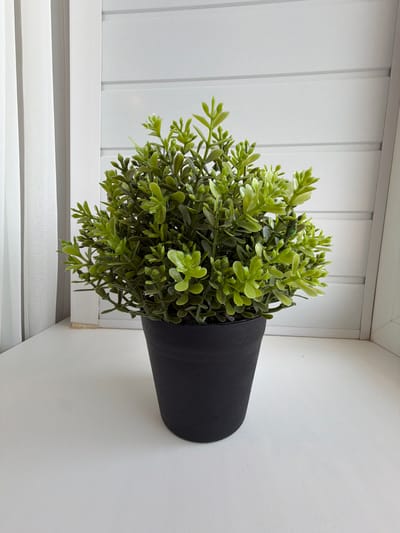 A close-up shot shows a faux green plant in a black pot. The plant is bushy with small, rounded leaves. The pot sits on a white surface, which appears to be a windowsill. In the background, there is a white wall with horizontal paneling and a white curtain on the left side. The lighting suggests it is daytime. This image does not contain any information about the city of Vikulovo, Russia.