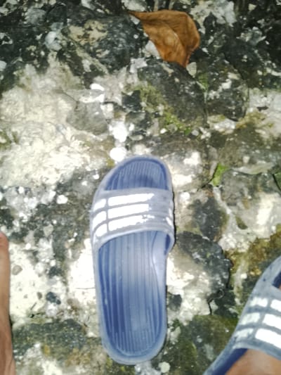 The image shows a close-up view of a person's feet wearing blue Adidas slides on a rocky, uneven surface. The rocks are varied in size and color, with some appearing dark and mossy, while others are lighter and possibly covered in debris. A single dry, brown leaf is visible amongst the rocks in the upper right portion of the image. The scene suggests an outdoor environment, potentially a natural setting rather than a developed urban area. There is no direct indication of the specific location within Sendangrejo, Indonesia, beyond the general description of the ground.