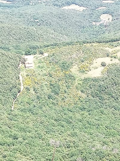 The aerial photograph shows a densely wooded landscape with a clearing containing structures. The environment is predominantly green, indicating lush vegetation, likely trees and undergrowth. There are patches of lighter-colored vegetation, possibly flowering plants or drier grass, interspersed within the green expanse.

In the central-left portion of the image, within a clearing, there is a complex of buildings. These structures appear to be low-lying and rectangular, with visible rooflines. A light-colored, winding path or road leads up to and around these buildings. The buildings are surrounded by cleared land and the edge of the forest.

Further into the landscape, in the upper portion of the image, there are additional areas of open land that appear to be fields or meadows, contrasting with the dense forest. These fields are also surrounded by trees.

The image does not depict any people or animals. The scene is static, representing a landscape view with man-made structures integrated into a natural environment. The location is identified as being in the city of Susqueda, Spain, suggesting this is a rural or semi-rural area within that municipality.