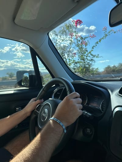 Inside a car, a driver's hands grip the steering wheel. The Jeep logo is visible in the center. A blue and white bracelet adorns the driver's wrist. Through the sunroof, the sky is bright, partially obscured by flowering vines. The side window shows a landscape under a cloudy sky. The dashboard and rearview mirror are also visible, indicating the driver is inside a car moving during daytime.