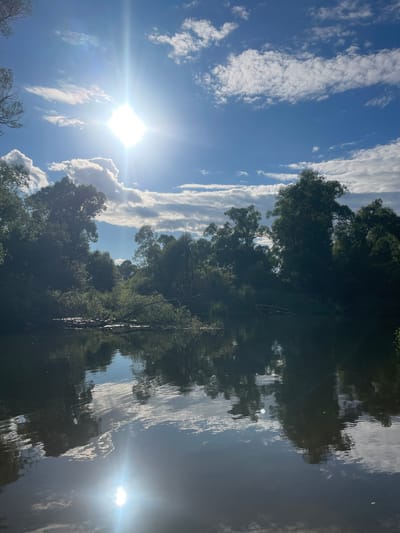 The image depicts a serene natural scene with a wide, calm body of water in the foreground, reflecting the sky and surrounding vegetation. Dense green trees line the banks of the water, creating a lush, verdant landscape. The sky above is a vibrant blue, dotted with fluffy white clouds. The sun is bright, casting a strong glare and its rays are visible. The overall impression is one of tranquility and natural beauty. The scene is consistent with a river or lake environment, possibly in the vicinity of Blagovskoe, Russia, given the context. There are no people or man-made objects prominently featured, emphasizing the natural setting.