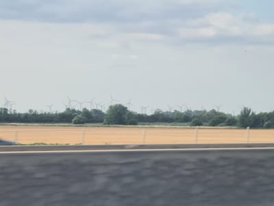 The image depicts a wide landscape with a row of wind turbines visible in the distance, silhouetted against a hazy sky. In the foreground, a blurred section of a road or highway is visible, with a concrete barrier running across the bottom of the frame. Beyond the barrier, there is a field of dry, golden-colored vegetation, separated by a thin fence line. A dense line of trees, mostly green, forms a backdrop to the field, and behind the trees, the wind turbines rise up. The sky is a pale blue with some wispy clouds. The overall impression is one of an open, rural or semi-rural environment, likely in an area with wind energy production. The image is taken from a moving vehicle, as indicated by the motion blur in the foreground. There is no information in the image to specify the location in Traiskirchen, Austria.