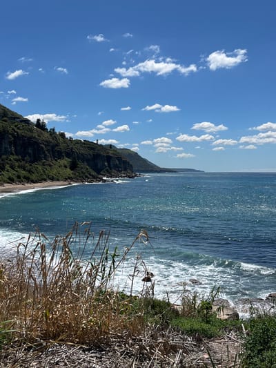 A vibrant scene presents a cliffside view. A lush, green hill descends to a narrow beach where gentle waves meet the shore. The ocean stretches towards the horizon, its surface sparkling under the sunlight. To the left, a bright blue sky is scattered with fluffy white clouds. Tall, dry grass and vegetation dominate the foreground, framing the picturesque coastal vista.