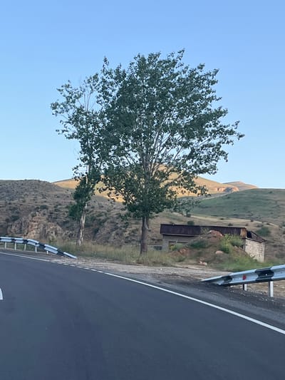 A road curves through a hilly, arid landscape with a clear blue sky overhead. Two trees stand prominently near the roadside. To the right of the trees, partially obscured by them and a mound of earth, are two dilapidated structures, likely abandoned buildings. One structure has a corrugated metal roof and a stone facade, while the other appears to be constructed from cinder blocks. The road is paved and marked with white lines. A metal guardrail with black and white reflective markings runs along the edge of the road. In the distance, rolling hills with sparse vegetation stretch towards a mountain range, bathed in the warm light of what appears to be late afternoon or early morning. This scene is located in the vicinity of the city of Arpi, Armenia.
