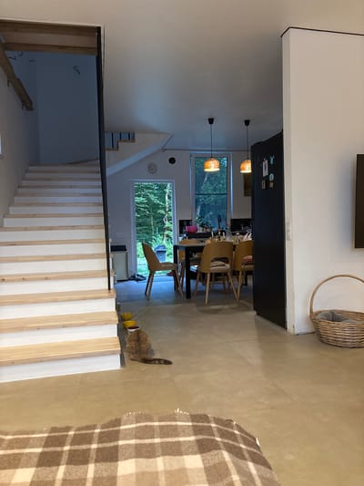 The image shows an indoor scene with a prominent wooden staircase on the left. The staircase has white risers and natural wood treads, leading upwards into a darker area. In the background, a dining area is visible with a table and chairs. Two pendant lights with woven shades hang above the table. A black refrigerator is present on the right side of the frame, with some items attached to its door. Further to the right, a woven basket containing what appears to be gray fabric sits on the floor. A cat with reddish-brown fur is positioned on the floor near the bottom of the stairs, facing away from the camera. Several bowls are placed on the floor in front of the cat. The flooring appears to be large, neutral-toned tiles. A checkered blanket is partially visible in the foreground. The environment suggests a domestic living space, possibly a kitchen or dining area connected to a staircase. The scene does not provide any direct visual information indicating the city of Vardane-Verino, Russia.