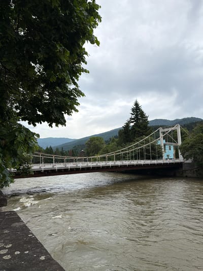 A weathered suspension bridge spans a wide, murky river under a cloudy sky. The bridge, painted white and rust-colored, has a walkway with white railings and is supported by thick cables. At the far end of the bridge, a small, blue structure sits atop a white, geometric support frame, with a tall, dark green evergreen tree growing nearby. The river's surface is choppy, reflecting the overcast sky. Lush green trees frame the foreground and the far bank of the river, with rolling, tree-covered hills in the background. The scene evokes a sense of damp, cool weather, possibly early morning or late afternoon. The image is oriented vertically, with the river flowing from the top to the bottom of the frame. There is no visible text in the image.