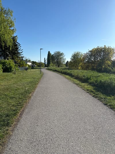 The image shows a paved pathway lined with grass and trees in Wiener Neustadt, Austria. A lamp post stands alongside the path, with residential buildings visible in the background. The sky is clear and blue. The pathway extends into the distance, curving slightly to the left. The scene is bathed in sunlight.