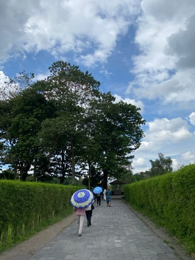 The image shows a paved pathway lined with tall hedges on either side, leading towards a forested area. The sky is partly cloudy, and the sun is shining. There are a few people walking along the path. Two women are using blue and white umbrellas as protection from the sun. The people are all dressed casually. The scene appears to be located within the complex of the Prambanan Temple compound, as indicated by the coordinates -7.75 latitude, 110.492 longitude. The image likely captures tourists visiting the temple complex in Kecamatan Prambanan, Indonesia.