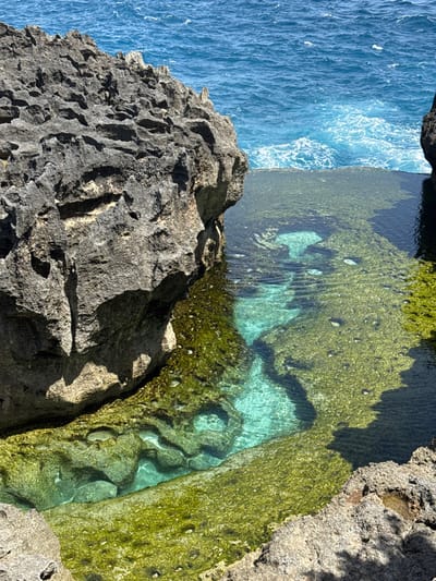 The image depicts Angel's Billabong, a natural rock pool formation located near Sakti, Nusa Penida, Indonesia, under bright daylight. The foreground features a clear, calm tidal pool with turquoise water, partially enclosed by dark gray, heavily eroded rock formations. The visible pool bottom is covered extensively with vibrant green marine vegetation and lighter rock structures, with sunlight reflecting off gentle surface ripples. In the background, beyond the natural pool, is the open ocean, characterized by deeper blue, choppy water with white foam from waves. Jagged, textured rock cliffs rise on the left and right sides of the frame. No individuals, animals, man-made objects, or active events are present in the scene.