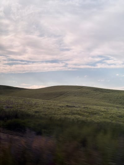 This is a vertically oriented, slightly tilted photograph of a vast, rolling green field under a cloudy sky. The field, appearing to be agricultural or natural grassland, occupies the right two-thirds of the frame, stretching from the foreground towards the horizon. Its texture is dense and uniform, suggesting a field of crops or tall grass. The left third of the image is dominated by a pale blue sky filled with streaky white and grey clouds. The clouds are textured and appear to be moving, adding a sense of dynamism to the sky.
The lighting suggests it is daytime, likely late afternoon or early evening, given the soft light and the presence of both bright and shadowed areas within the field. The location cues, with the rolling hills and the type of vegetation, are consistent with a rural or natural landscape. There is no text visible in the image. The overall mood is serene and expansive, conveying a sense of natural beauty and openness. The motion blur on the far right suggests the photo was taken from a moving vehicle or camera.