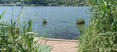 A wide shot captures a serene view of a lake bordered by lush green reeds and a wooden platform in the foreground. In the distance, across the water, lies the city of Prylymans'ke, Ukraine, with buildings and trees dotting the horizon. Three small islands of grass emerge from the placid water, adding to the natural beauty of the scene. The wooden platform, constructed from planks, leads into the water, suggesting it may be a dock or a fishing spot. The image is bathed in natural sunlight, creating a peaceful and tranquil atmosphere. The date and time stamp in the lower right corner indicate that the photo was taken on July 26, 2026, at 11:58 AM.