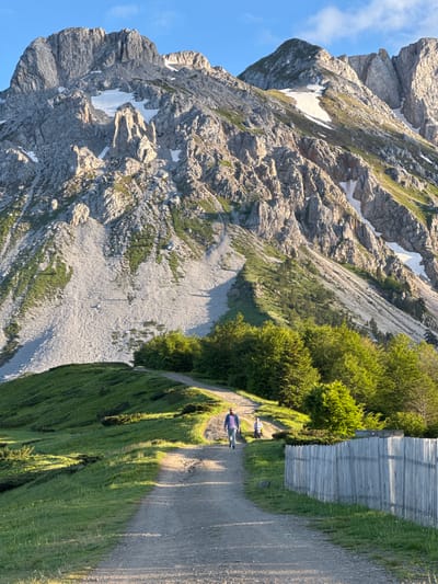 This image captures a scenic mountain landscape in the vicinity of Jošanica, Montenegro. In the foreground, a gravel path winds uphill, bordered by lush green grassy slopes and a rustic wooden fence on the right. Two individuals are walking along the path, with one person, a male wearing a plaid shirt and grey pants, in the lead, and another person, a female wearing a yellow jacket and dark pants, following behind. The path leads towards a dense forest of green trees. Dominating the background is a majestic, rugged mountain with rocky peaks and patches of snow. The sky is a clear blue, with some clouds visible. The lighting suggests it is either early morning or late afternoon, with the sun casting long shadows and illuminating the mountain slopes.