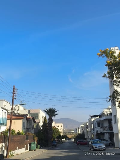 A street lined with buildings leads toward a distant mountain under a clear blue sky. Power lines crisscross above the road. Vehicles are parked along the sides of the street. A palm tree and other greenery add texture to the urban landscape. The timestamp "28/11/2025 08:42" is visible in the lower right corner.