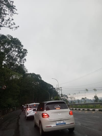 The image captures a road scene on an overcast day, likely depicting traffic congestion in a natural, hilly, or mountainous area.
In the mid-ground, a light-colored (likely white or very light gray) small hatchback car is prominently featured, viewed from the rear. Its taillights are illuminated. On the rear window, a sticker is visible that reads "FIVESTAR" with several star symbols above the text. The car's license plate, located below the tailgate, clearly displays "B 7687 UNV". The Wuling logo is also visible on the tailgate. Ahead of this car, another white SUV or larger car is visible, also in a line of traffic, with its taillights illuminated. Further down the road, more vehicles are present, including what appear to be motorcycles on the far left side of the lane, indicating slow-moving or stopped traffic. The road surface is dark and appears damp or wet, reflecting the light from the sky. To the right of the road, a low concrete barrier or guardrail separates the road from a lower slope.
The left side of the scene is dominated by a dense, lush green forest or hillside, with tall, dark green trees rising steeply alongside the road. A circular road sign with a red border and white background is partially visible amongst the trees on the far left, but its specific details are unreadable due to blurriness.
The sky is completely overcast, a uniform light gray, providing soft, diffused lighting to the entire scene. In the background, beyond the right side of the road and the barrier, there are utility poles and power lines stretching across the landscape. Distant hills or structures can be vaguely seen through the haze or clouds.
The overall impression is one of a cloudy or rainy day, with traffic moving through a scenic, tree-lined road.