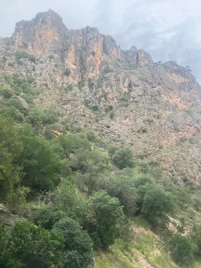 This image depicts a steep, rugged mountainous landscape within the vicinity of the city of Arpi, Armenia, under an overcast sky. The upper section features prominent, towering rock formations characterized by fractured surfaces and varying shades of grey, brown, and light tan, with sparse green vegetation clinging to ledges. The mid-section of the mountain slope is rocky and uneven, densely populated with numerous deciduous trees exhibiting vibrant green foliage, interspersed with lighter green grass and scrub. The lower portion of the scene shows a more concentrated cluster of dense green trees and bushes. No human figures, animals, or man-made structures are visible. The lighting is soft and diffused due to the cloudy conditions.