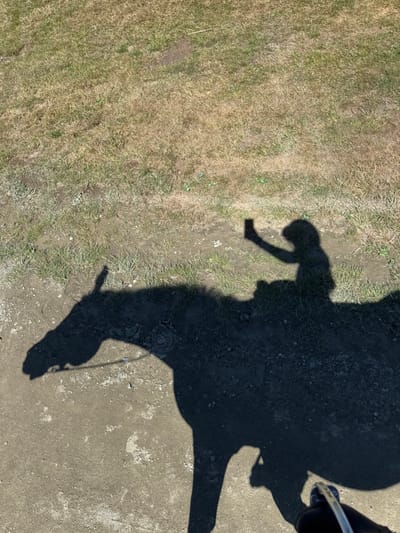 An overhead image displays the shadows of a horse and a rider on dry, patchy grass and dirt ground in the Township of Langley, Canada. The large, dark shadow of a horse occupies the lower and central frame, surmounted by the rider's shadow. The rider's right arm is extended forward and upward, holding an object that casts a distinct rectangular shadow, consistent with a smartphone. A stirrup and a boot are partially visible in the lower right corner, indicating the photographer's position on horseback. The ground is composed of light brown, desiccated grass mixed with patches of bare dirt, illuminated by strong, direct sunlight.