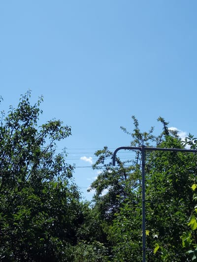 The image shows a bright, clear blue sky above a dense canopy of green trees. In the mid-ground, there are several power lines strung between poles, partially obscured by the foliage. A curved metal pole, possibly part of a clothesline or an antenna, is visible in the right half of the frame, extending upwards into the sky and through the trees. The environment appears to be an outdoor, possibly residential or park-like setting in the village of Kitskany, Moldova, given the presence of vegetation and utility infrastructure. There are no people or animals visible in the image.