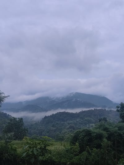 The image depicts a panoramic view of lush green mountains shrouded in mist, characteristic of the tropical climate in Ban Nong Phak Hueat, Thailand. The foreground features dense foliage and trees, with a valley filled with vegetation in the mid-ground. The background is dominated by layered mountains with low-lying clouds or mist partially obscuring their peaks. The sky is overcast with heavy, gray clouds, suggesting a humid or rainy atmosphere. There are no people or animals visible in the scene. The overall impression is one of a serene, natural landscape in a mountainous region.