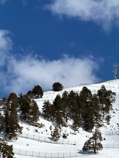 The image displays a snow-covered mountain slope in Lunnaya Polyana, Russia, beneath a clear blue sky partially obscured by white cumulus clouds. The terrain is steep and covered extensively with white snow. Numerous dark green coniferous trees, ranging from small saplings to mature specimens, are scattered across the hillside. Multiple horizontal lines of dark mesh fencing, consistent with snow barriers or avalanche nets, are installed across the slope at varying elevations. In the upper right portion, a metallic structural component, indicative of a ski lift tower, is visible. No individuals or active subjects are present in the scene.