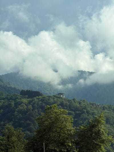 The image depicts a verdant, mountainous landscape in Zeda Erge, Georgia, characterized by dense forests and dramatic cloud formations. In the mid-ground, a contemporary building with a light-colored facade and multiple levels is perched on a hillside amidst the trees. Further to the right, another smaller structure is visible on a distant slope. The foreground is dominated by the lush canopy of trees, their leaves rendered in varying shades of green. Above the mountains, the sky is filled with an array of clouds, some appearing bright and wispy, while others are heavier and more diffused, creating a sense of depth and atmosphere. The overall scene conveys a sense of natural beauty and tranquility, with human habitation integrated into the mountainous terrain.