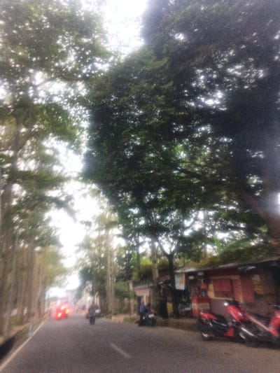 The image depicts a blurred, wide-angle view of a street in Morrumbala, Mozambique, under an overcast or strongly backlit sky. A two-lane asphalt road recedes into the distance, bordered by a dense canopy of large green trees that obscure much of the sky. On the left lane of the road, a vehicle with illuminated red taillights moves away from the viewer. A dark-colored motorcycle is also visible further ahead, in the middle-left of the road, also moving away. On the right side of the street, an unpaved shoulder fronts a row of low-rise structures, consistent with shops, featuring red and brown painted exteriors and simple rooflines. Several motorcycles, primarily red and black, are parked or stopped on this shoulder in front of the shops. Multiple indistinct human figures are discernible on the right side of the scene, near the parked vehicles and structures, appearing to be standing or congregating.