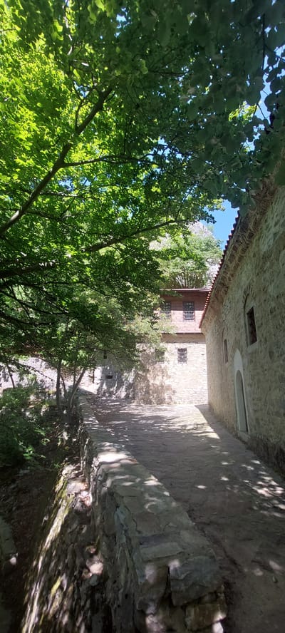 The image depicts the courtyard of Bachkovo Monastery in Bulgaria. The perspective is unusual, tilted upwards, creating a distorted view. On the left, lush green trees fill much of the frame, obscuring the sky. The walls of the monastery, constructed of light-colored stone, frame a narrow passageway. Shadows cast by the trees and the monastery walls create a play of light and dark on the stonework. A three-story building with small, barred windows can be seen at the end of the passage, partly obscured by trees. The overall impression is that of a peaceful, sheltered space within the monastery complex.
