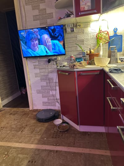 The image depicts a cluttered kitchen area. A large television screen displays two people, one a smiling woman with bangs and the other a man covering his face with his hand, with the logo "CTC" visible in the top left corner. The kitchen itself has red cabinets, a white brick-patterned backsplash, and a light-colored countertop. Various kitchen items are present, including a grater, a bowl, a potted plant, and what appears to be a digital clock displaying "03:44." On the floor, a dark-colored robot vacuum cleaner is positioned near two pet bowls, one empty and one filled with kibble. The floor is covered in a patterned brown carpet with visible debris and a wooden strip laid across it. The environment suggests a lived-in, somewhat disorganized living space. There is no specific indication or context to place this scene in Sinegorye, Russia.