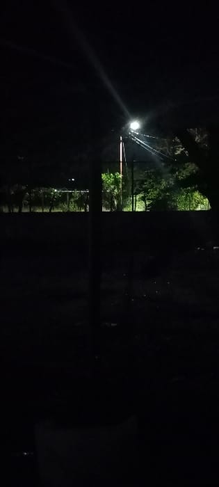 A night scene shows a dimly lit view through a window. Outside, green trees are illuminated by a bright street lamp. A dark, reflective surface below mirrors the outside scene. The surrounding areas inside the window are engulfed in darkness.