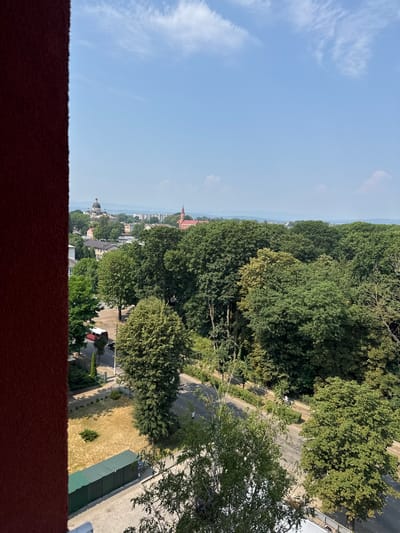 This image captures a scenic view of Kolomyia, Ukraine, featuring a lush canopy of green trees dominating the mid-ground and extending towards the horizon. In the distance, several architectural landmarks are visible, including a prominent dome structure and a red-roofed building with a spire, likely religious edifices. The sky is a clear blue with scattered white clouds, suggesting a pleasant day.
In the foreground, a textured, dark red surface, possibly a wall or balcony railing, frames the left side of the image. Below the trees, a road runs horizontally across the scene. Parked near the road are a red and white van and a black car. A patch of dry, yellowish grass is visible on the left side of the road, bordered by a long, green metal structure. A few individuals can be seen walking or cycling on or near the road, indicating everyday urban activity. The overall impression is one of a tranquil, green urban environment with glimpses of historical architecture.