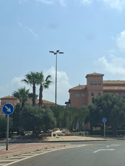 The image captures a sunny daytime scene in Cala Flores, Spain, showcasing a blend of residential architecture, urban landscaping, and road infrastructure. In the background, a prominent salmon-colored building with traditional tiled roofs dominates the skyline. This building features multiple windows with arched tops and decorative elements, suggesting a hotel or a large apartment complex.

In the foreground, a road with clear white lane markings curves through the scene. To the left, a blue circular traffic sign with a white arrow pointing downwards indicates a direction. A lamppost with multiple light fixtures stands tall in the middle ground, extending towards the clear blue sky dotted with sparse white clouds.

The landscape features several tall palm trees with lush green fronds, as well as a variety of other trees and shrubs, including what appear to be tall, spiky cactus-like plants. A decorative rock arrangement is visible in the center, with a light-colored, abstract sculpture lying within it. Another blue circular traffic sign, this one with a circular arrow indicating a roundabout, is positioned to the right. The overall impression is of a well-maintained, possibly resort-like area in a sunny Mediterranean location. No people are visible in the image.