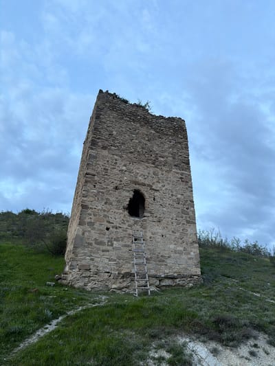 A low-angle, medium shot depicts a stone tower with a ladder resting against it in Zemo Nichbisi, Georgia. The tower is constructed of rough-hewn stones. A dark, empty window is visible high on the tower's facade. A wooden ladder rests against the wall, leading up towards the window. The tower is positioned on a grassy hillside with some scrub vegetation. The sky is overcast.
