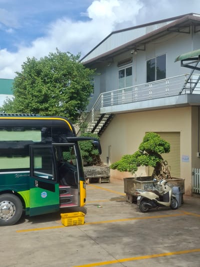 In the city of Tan Phu 2, Vietnam, a light-colored scooter is parked next to a large bonsai tree in a concrete planter. A yellow plastic basket sits on the asphalt in front of an open bus door, with the bus also parked on the asphalt. The bus is green and yellow, with a yellow stripe along the top. The building behind the bus and scooter is light beige and has a metal rolling door. A second, larger building with a metal roof and balconies is visible behind the first building. There are trees and a blue sky with clouds in the background. Yellow lines mark parking spaces on the asphalt.