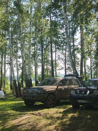 In Nepryakhinskoye Sel'skoye Poseleniye, Russia, a forest clearing is depicted with several off-road vehicles parked on grassy terrain. Two individuals are visible in the background near some tents, suggesting a campsite or recreational area. The foreground features two large SUVs, both covered in mud, indicating recent off-road activity. The environment is characterized by a dense stand of birch trees with white bark and green foliage, typical of a forest setting. Sunlight filters through the leaves, casting dappled shadows on the ground. The sky is partly visible through the tree canopy.