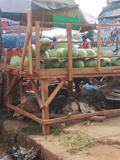 The scene depicts an outdoor market stall in Abeere, Nigeria. A prominent two-tiered wooden structure, constructed from light-colored planks, occupies the central foreground, serving as a display stand. Both the upper and lower tiers are heavily laden with numerous large, light-green, spheroidal fruits, consistent with watermelons or gourds. Beneath the lower tier, the ground is cluttered with dark-colored bags, irregular brown lumps resembling root vegetables, and miscellaneous debris.
To the immediate left of the wooden stall, a tall, woven basket brimming with red tomatoes is visible. Behind the stall's right side, an individual with dark hair, wearing a red shirt over a grey garment, is partially visible from the chest up, positioned amidst the produce, appearing to manage the stall. Further left, a dark-colored vehicle is parked beneath a red and a white-and-green striped market umbrella, which provide shade. To the right, another green-and-white striped umbrella extends over a display area featuring a signboard with partial text and images. In the distant background, residential buildings with light-colored walls and dark roofs are visible under a clear, bright sky.
The ground in the foreground is unpaved, consisting of reddish-brown earth with sparse patches of green vegetation. A low, irregular stone or earth curb runs across the immediate foreground, and scattered waste materials, including plastic bags, are present on the ground.