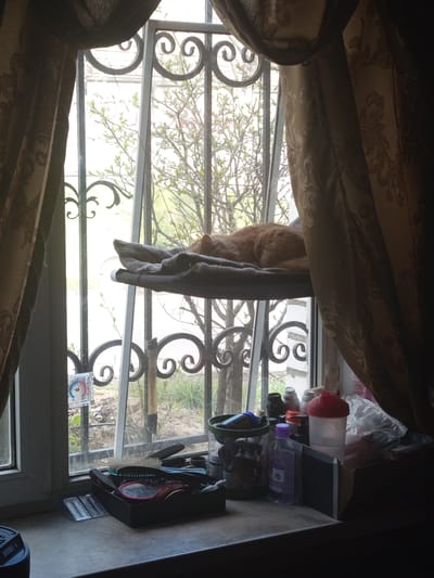 The image depicts a window with decorative wrought-iron bars, viewed from inside a room. Curtains are partially drawn at the top and sides of the window. Outside, tree branches with green foliage are visible. A garment is draped on the security bars. A collection of objects, including containers, bottles, brushes, and a thermometer, are placed on the windowsill. The location is reported to be in совхоза "Воронежский", Russia. The image does not depict any people or specific actions.