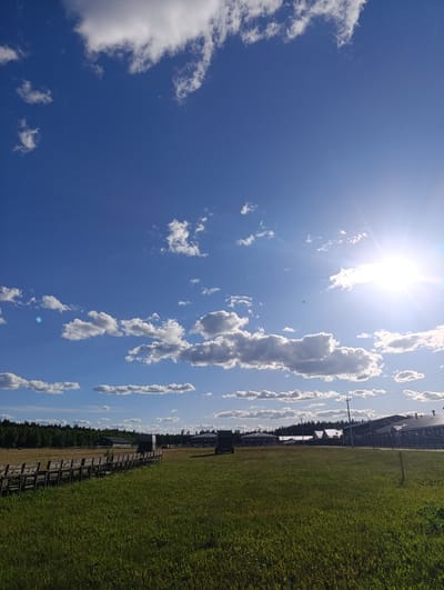 This is a landscape photograph taken outdoors, likely in a rural or semi-rural setting. The scene is dominated by a vast expanse of blue sky dotted with fluffy white clouds. The sun is shining brightly in the upper right quadrant, casting a warm light and creating lens flare. Below the sky, a wide, green grassy field stretches towards a line of trees in the distance.
In the foreground, a long wooden bench or seating structure runs horizontally across the image, appearing to be part of an outdoor seating area or stadium bleachers. Beyond the field and the bench, several agricultural buildings or structures are visible, with dark roofs and lighter walls. Some of these buildings appear to be barns or large sheds, possibly associated with a farm or livestock operation. A few utility poles are also present in the background.
The overall impression is one of a bright, sunny day, likely in the late morning or early afternoon given the sun's position and the intensity of the light. The weather appears to be clear and pleasant. The location cues suggest a setting in Ivanovskoe, Russia, consistent with the presence of agricultural structures and a natural landscape. There is no visible text in the image. The mood is serene and open, evoking a sense of peaceful rural life.