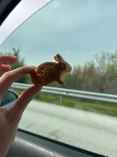 A person holds a brown, animal-shaped cookie in their right hand. The cookie is lit from behind by sunlight. The person is inside a vehicle. The car window is visible, showing a blurred landscape with trees and a road outside. The location is suggested by the prompt as being in or around Церово, Bulgaria, but there is no visual confirmation of the specific location within the image.
