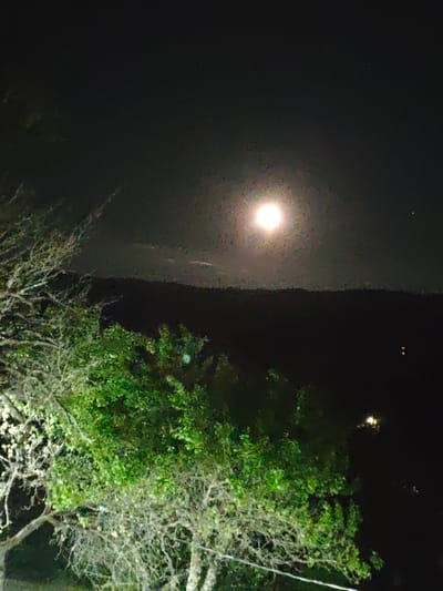 A moonlit night scene unfolds with a bright moon in the upper center of the frame, casting a glow over a dark, hilly landscape. In the foreground, a large tree with bare, branching limbs on the left and dense green foliage on the right dominates the lower half of the image. The overall atmosphere is dark and tranquil, characteristic of a nighttime rural setting. There are no people or specific landmarks to indicate the location within the city of Ukeshi, Georgia.