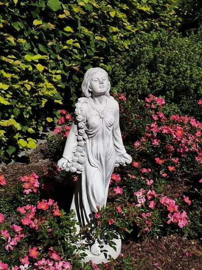 A white statue of a woman stands amidst a garden, surrounded by lush greenery and vibrant pink flowers. The statue depicts a woman with her head tilted back, eyes closed, and a serene expression, suggesting a moment of peace or contemplation. Her flowing robes are adorned with delicate rose garlands, adding a touch of romanticism. The statue is positioned on a raised base, further accentuating its presence within the garden.
The background is a tapestry of green leaves and branches, with a dense hedge on the right and a lighter, perhaps deciduous, vine on the left. The pink flowers, which appear to be roses, are scattered throughout the foreground and mid-ground, creating a colorful contrast with the white statue and green foliage. The ground is covered with dark mulch, typical of garden landscaping.
The lighting suggests it is daytime, with the sun casting shadows, indicating a clear or partly cloudy sky. The overall atmosphere is tranquil and idyllic, evoking a sense of natural beauty and artistic expression. The location is identified as Goczałkowice-Zdrój, Poland. There is no visible text in the image.