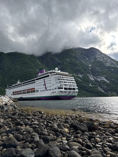A large white cruise ship, named "Ambition" and registered in Nassau, is docked on a calm body of water near Eidfjord, Norway. The ship features purple and green accents and has numerous lifeboats visible along its sides. The background consists of steep, verdant mountains, partially obscured by dramatic, cloudy skies. The foreground is a rocky shoreline with a breakwater made of large stones. The water reflects the light and the surrounding landscape. The overall scene depicts a cruise ship in a majestic natural setting.