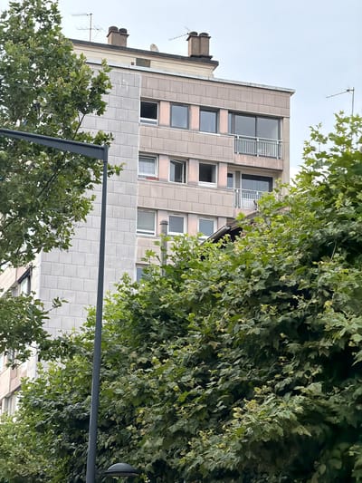 The image shows a multi-story apartment building in Maisons-Alfort, France, viewed from street level. The building has a facade composed of light-colored stone tiles and pinkish-beige panels. Multiple windows and a balcony are visible on the upper floors. A grey lamppost stands in the foreground to the left, partially obscuring the building and a dense canopy of green leaves from large trees. The sky above is overcast.